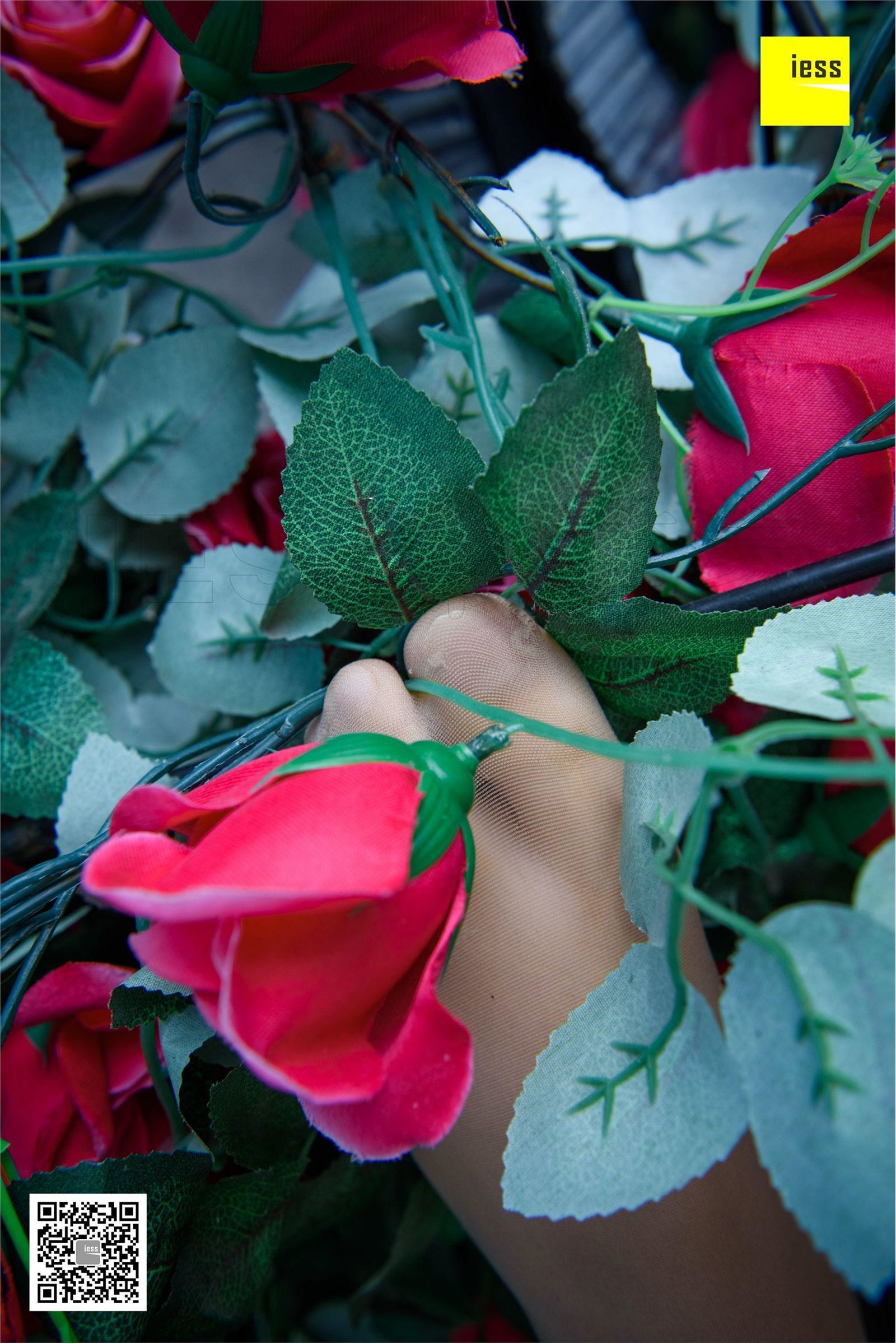 [IESS异思趣向]2018-02-01 No.161婉萍《玫瑰与肉丝》